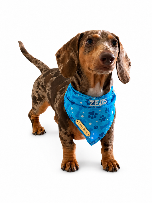 BANDANAS